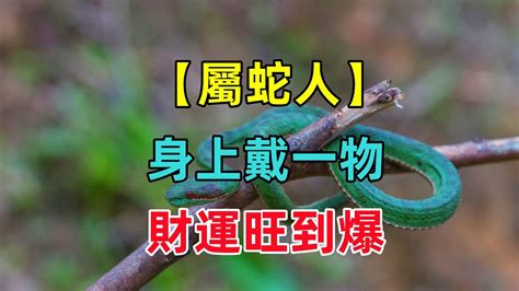 屬蛇適合的工作|屬蛇人適合做什麼工作